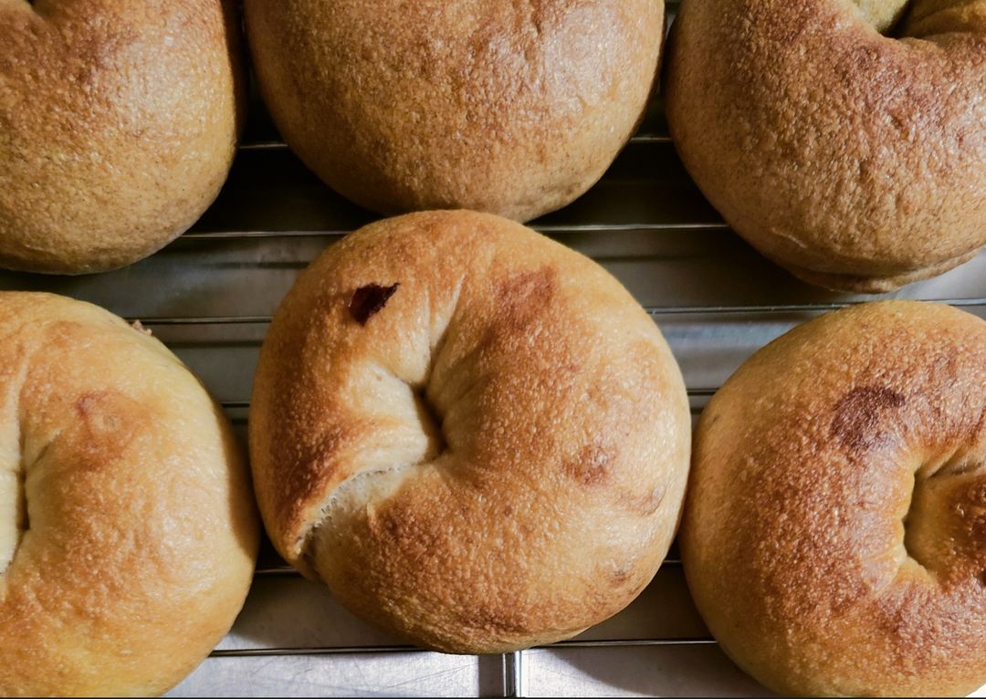 Cranberry Walnut Bagels