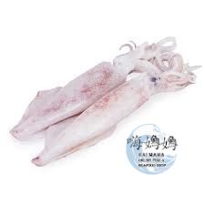 Sotong 苏东