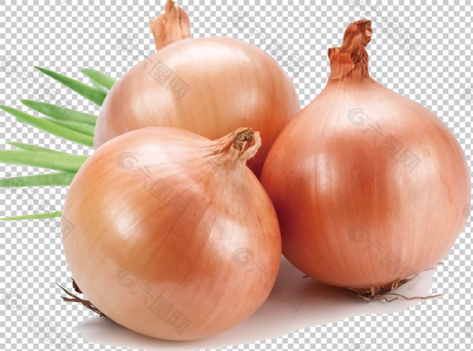 🧅 洋葱头 -$1.5/1kg