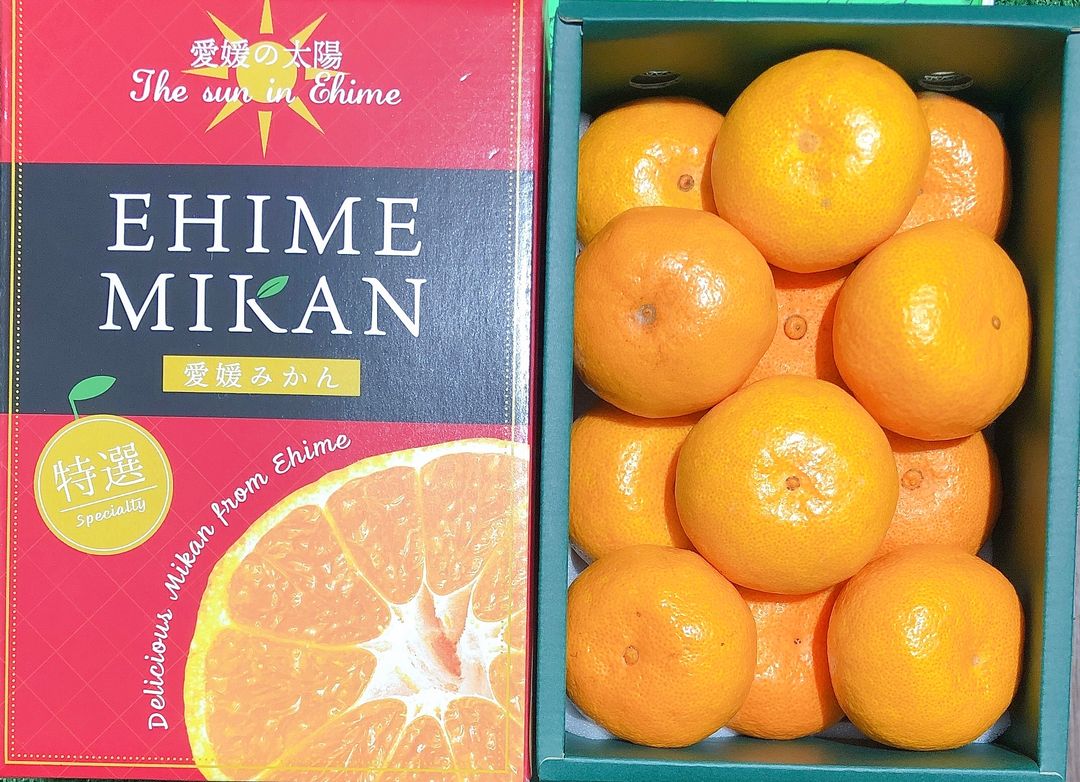 Japan Ehime Mikan Giftbox 1KG