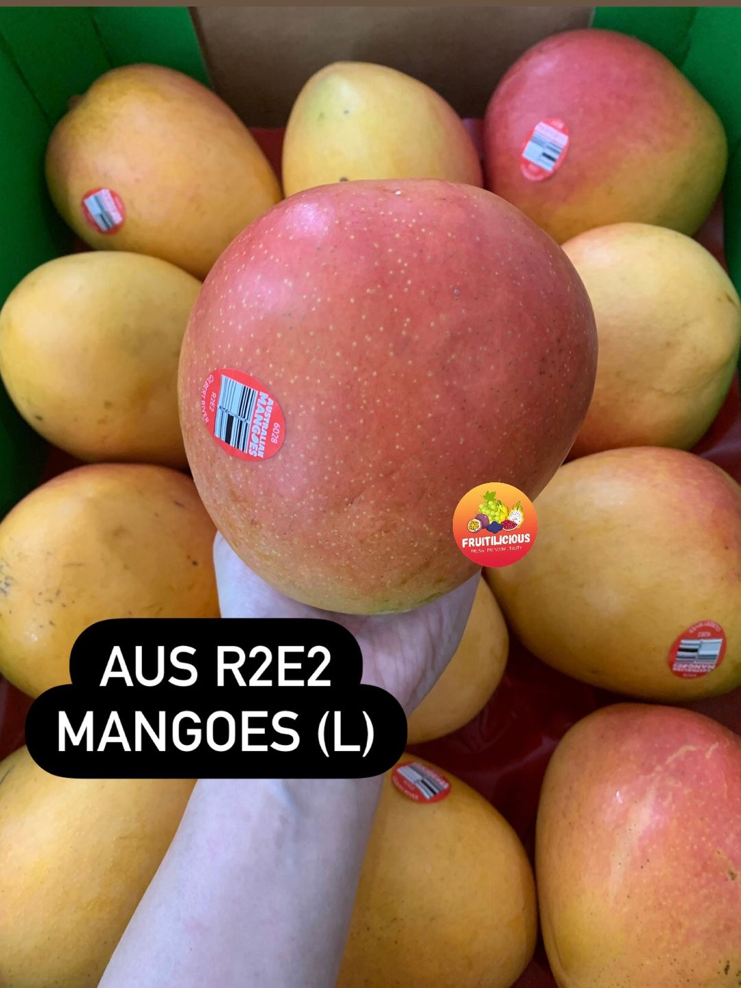 AUS R2E2 MANGOES XL