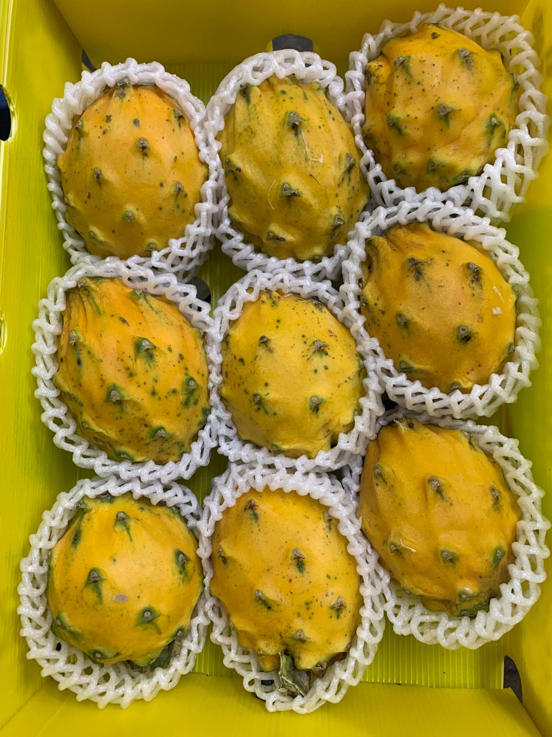 Yellow Dragon Fruits LY