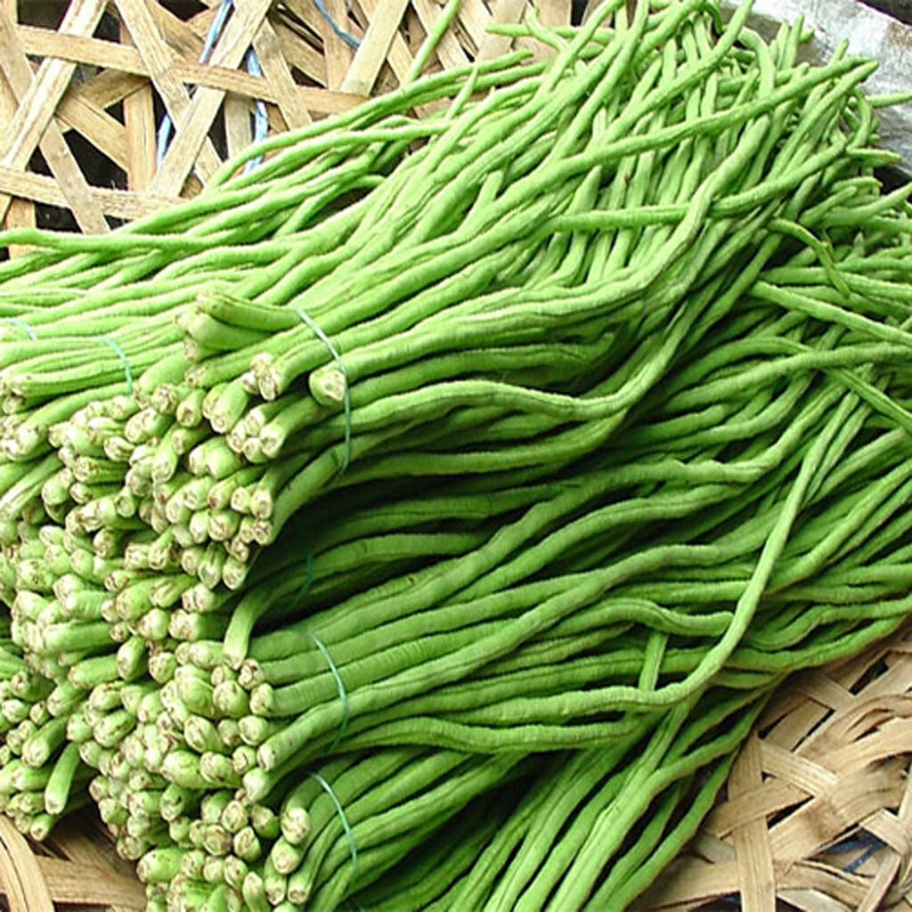 Beans
