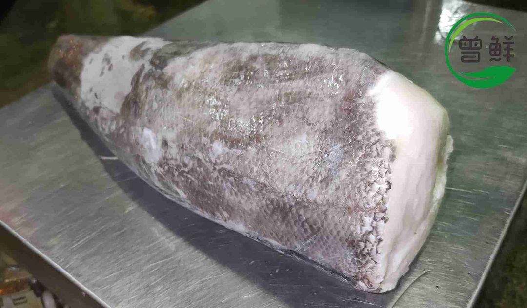 鳕鱼 Codfish（整条/Whole）