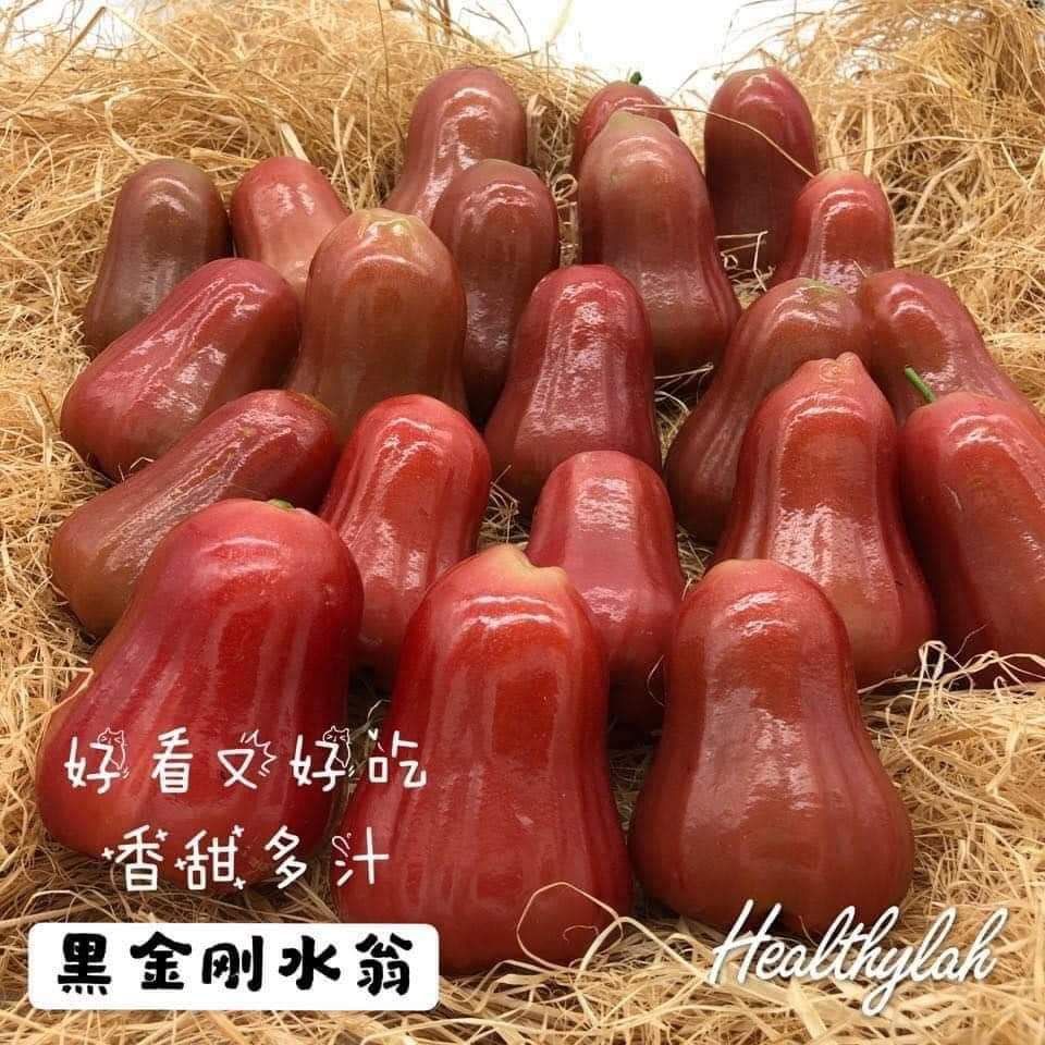 JAMBU AIR 黑金刚水翁 1kg