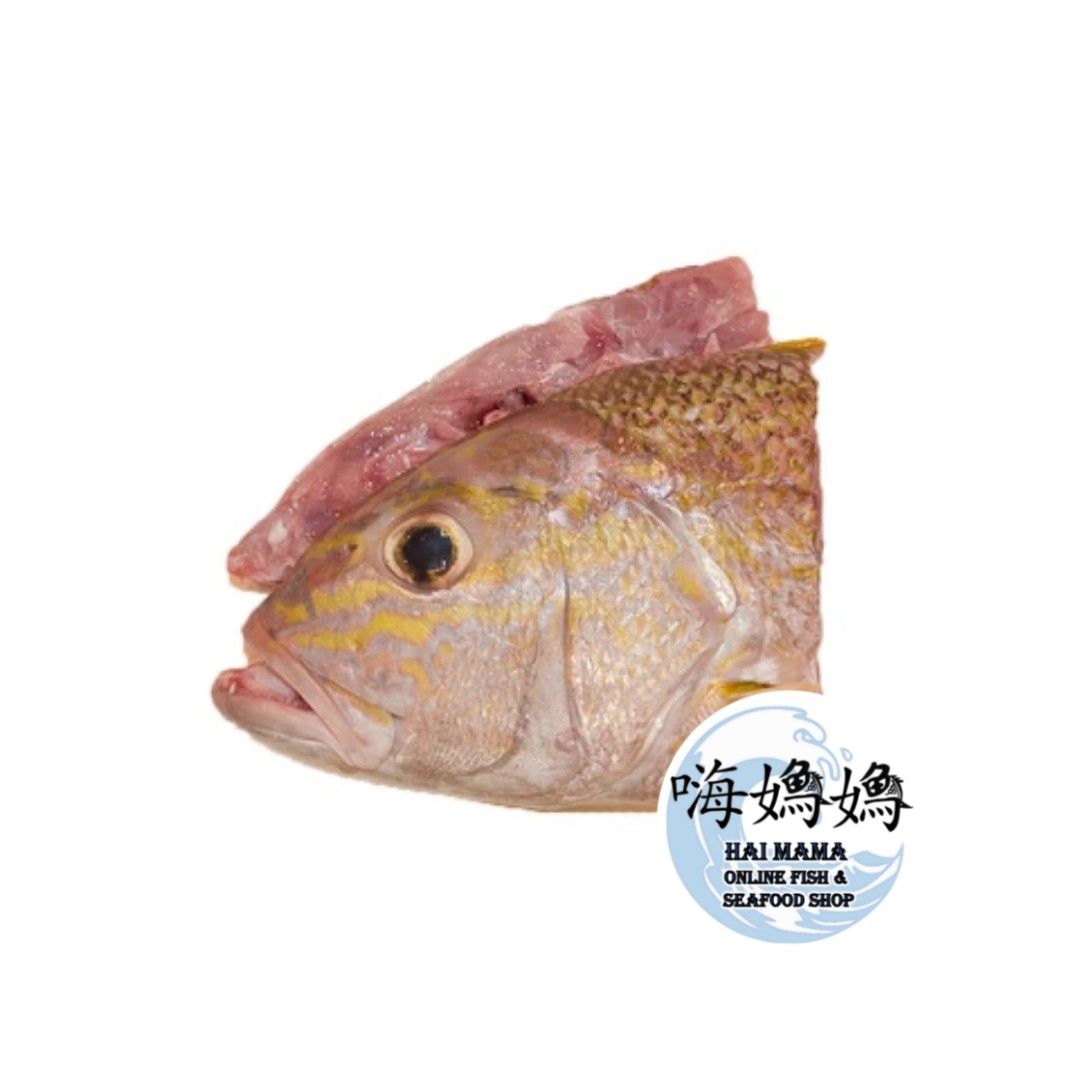 Sea Bream/White Snapper Head/Ang Go Li/红哥力)