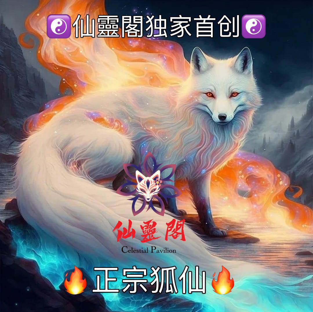 🦊正宗狐仙🦊