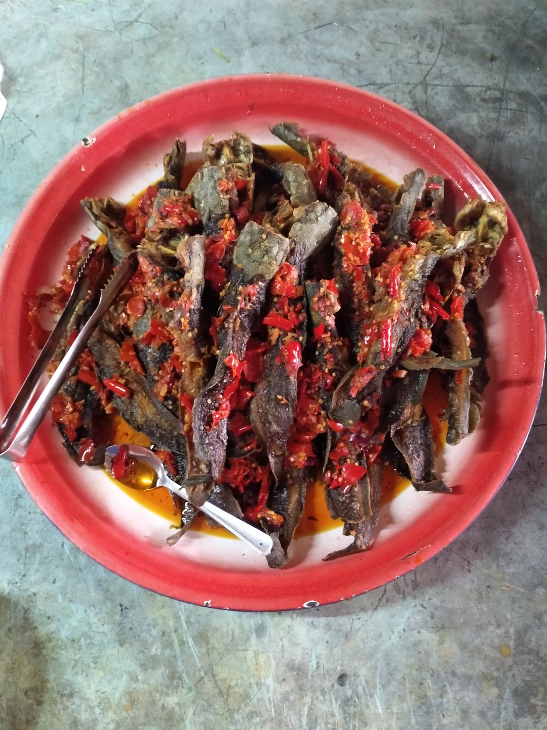 Ikan Keli Berlada