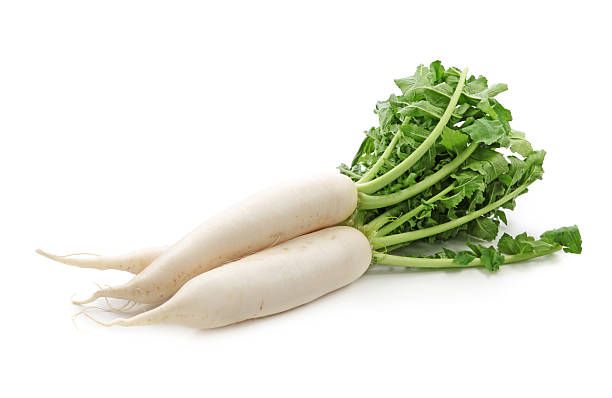 Daikon Radish/ 白萝卜