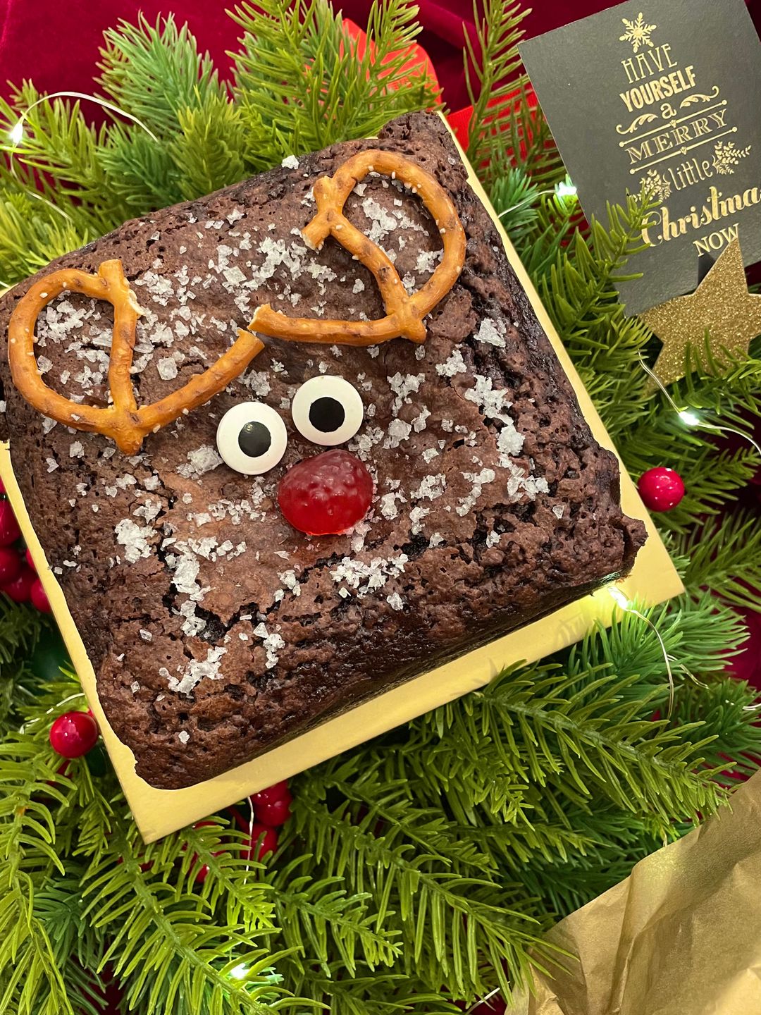 Christmas Rudolph Belgian Chocolate Seasalt Slab