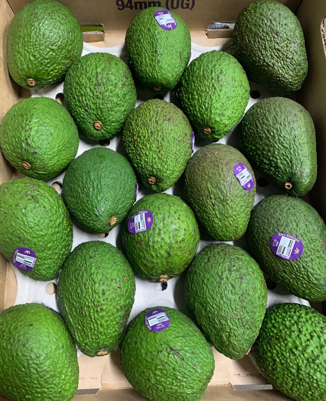 AUS JUMBO HASS AVOCADO