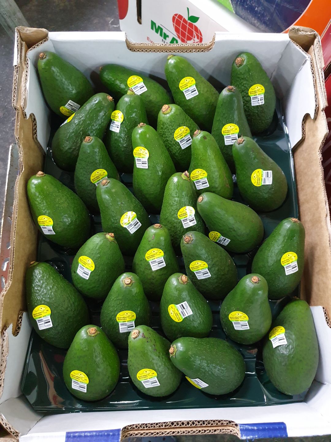 🥑Aust Avocado (2pcs)