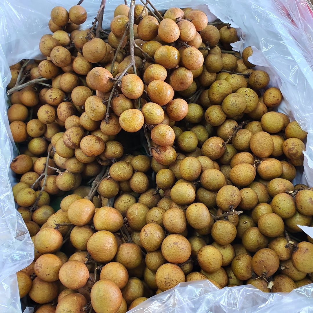 Thailand Longan (1kg)