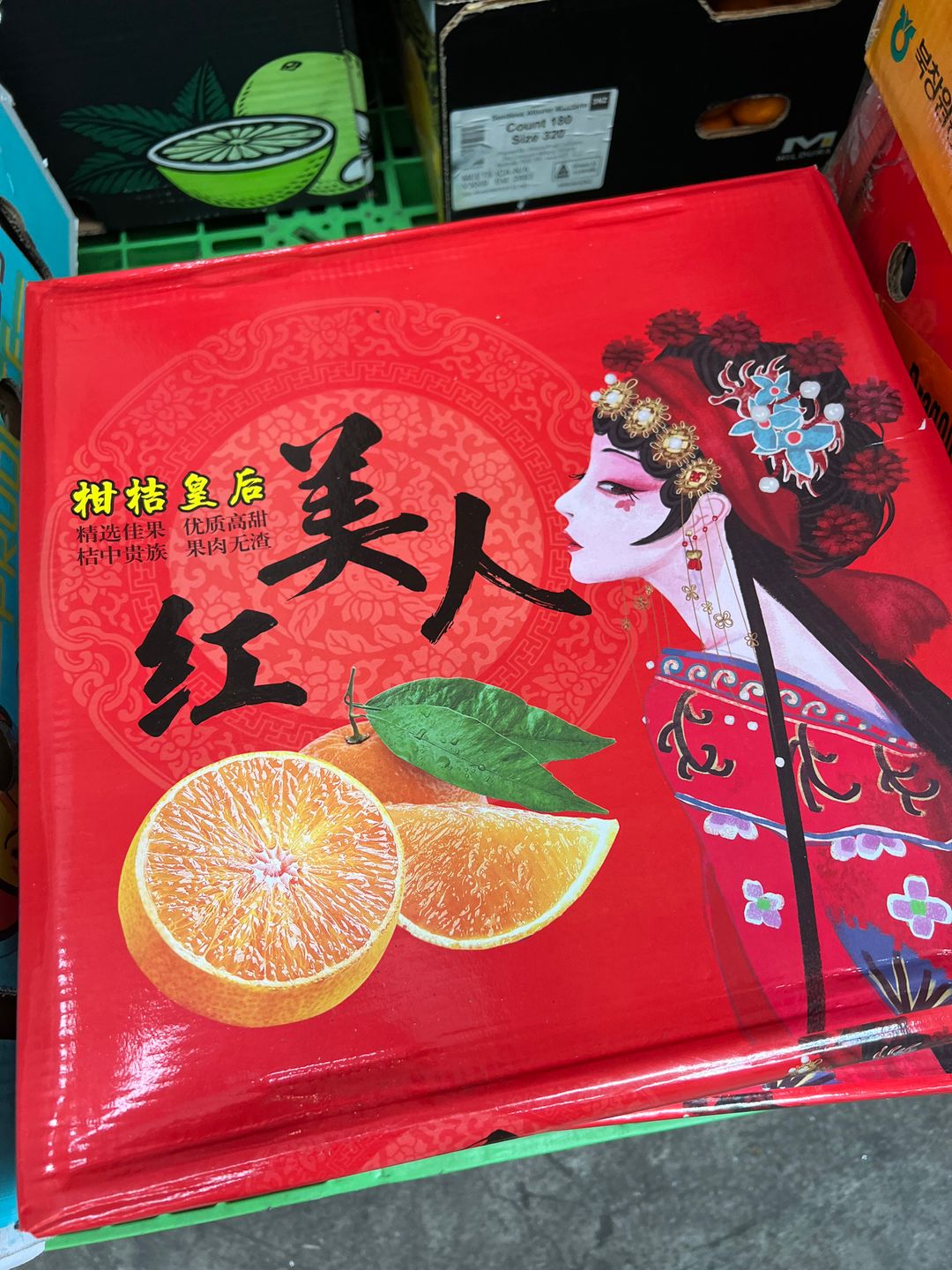 红美人 oranges (1 carton) 