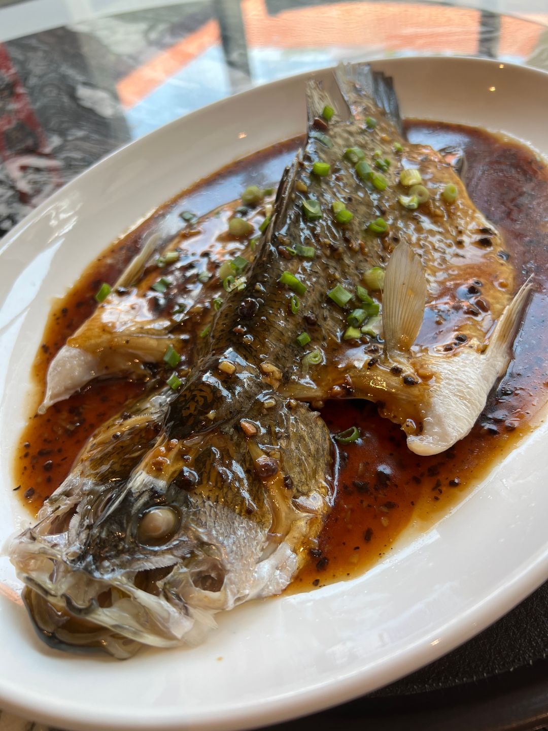 Seabass with Black Bean Sauce 豆鼓金目鱸