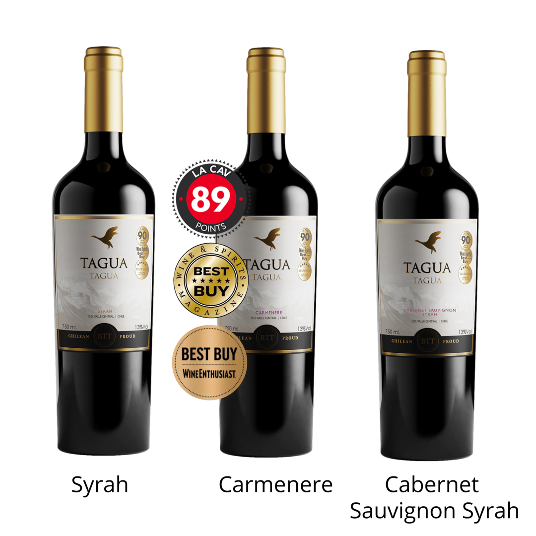 2021 Tagua Tagua Syrah