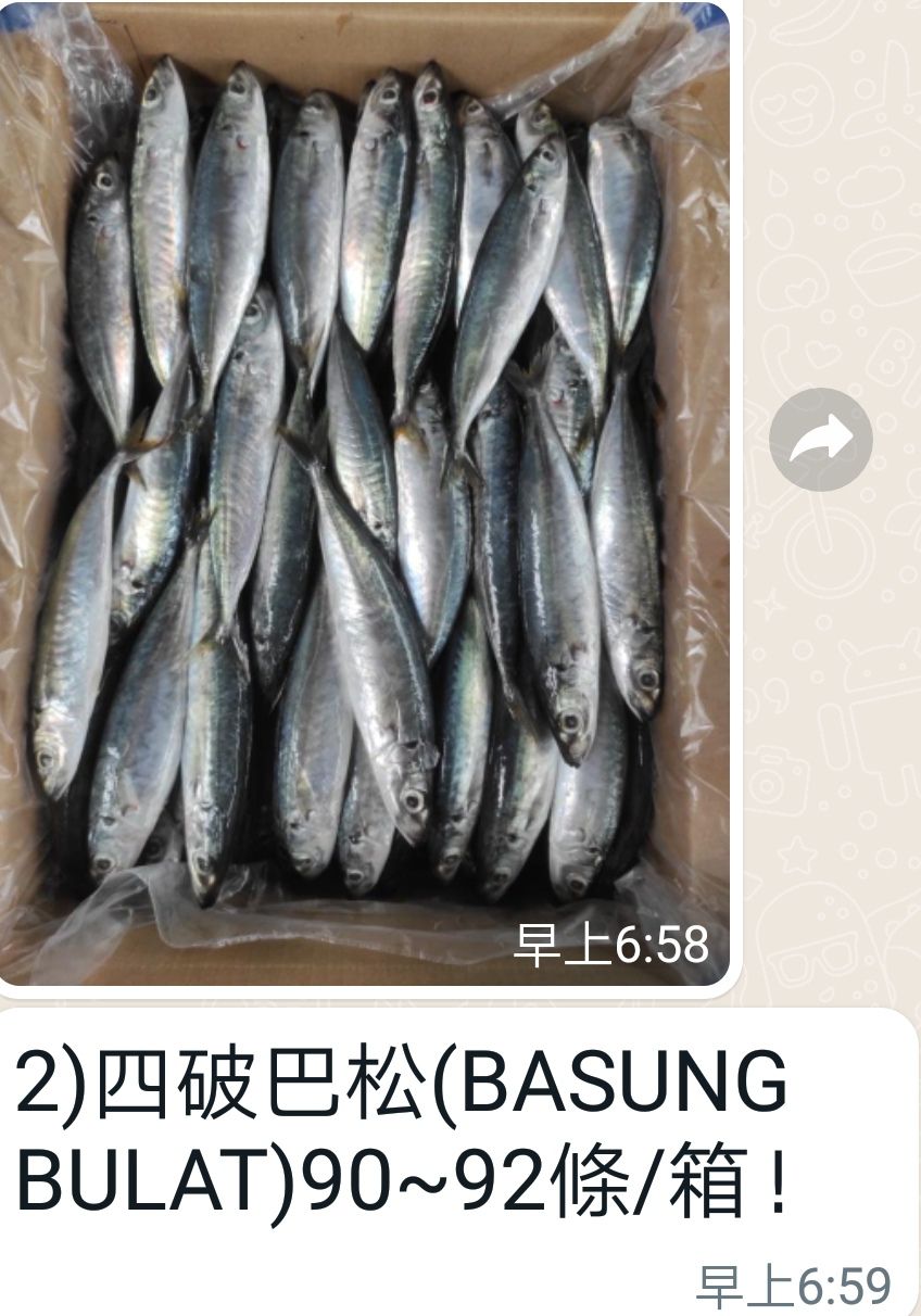 Ikan Basung Bulat ( RM 9 x 5 kgs   per/ctn) _Soft body.