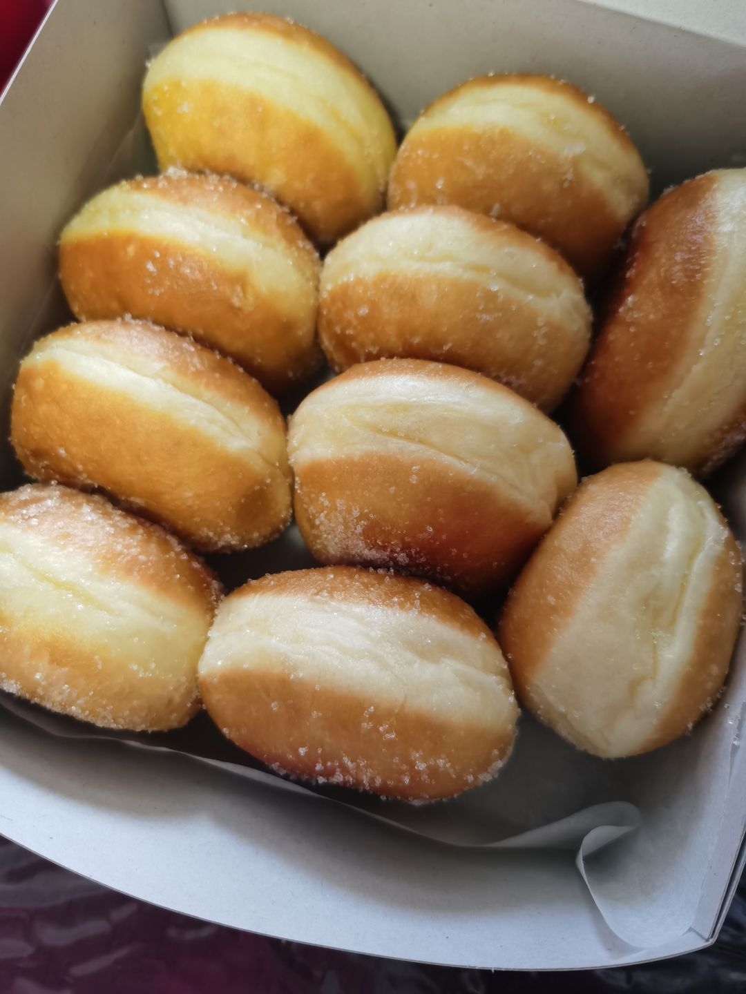 Regular Doughnuts [Plain]
