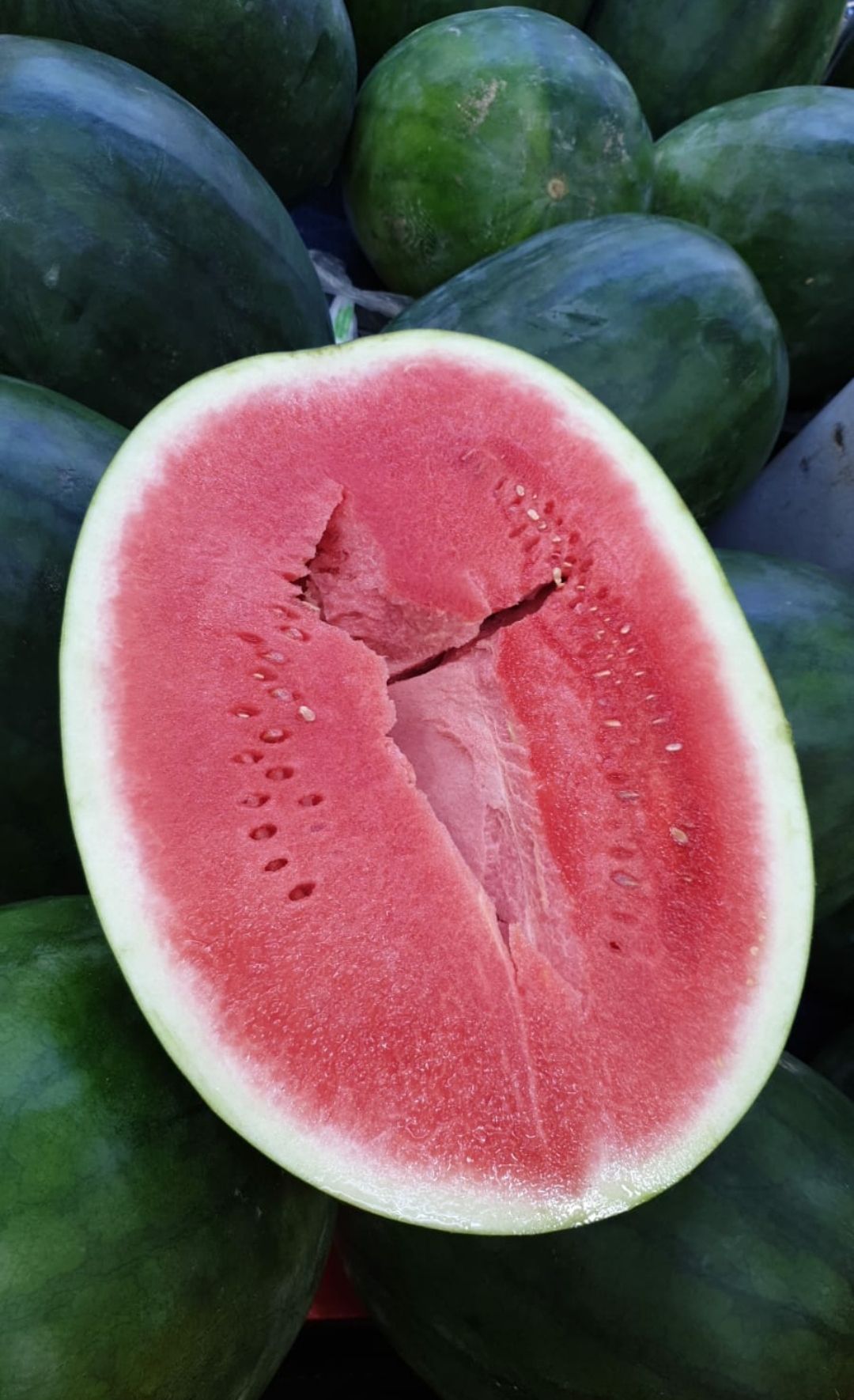 🍉Red Seedless Big Watermelon 6kg