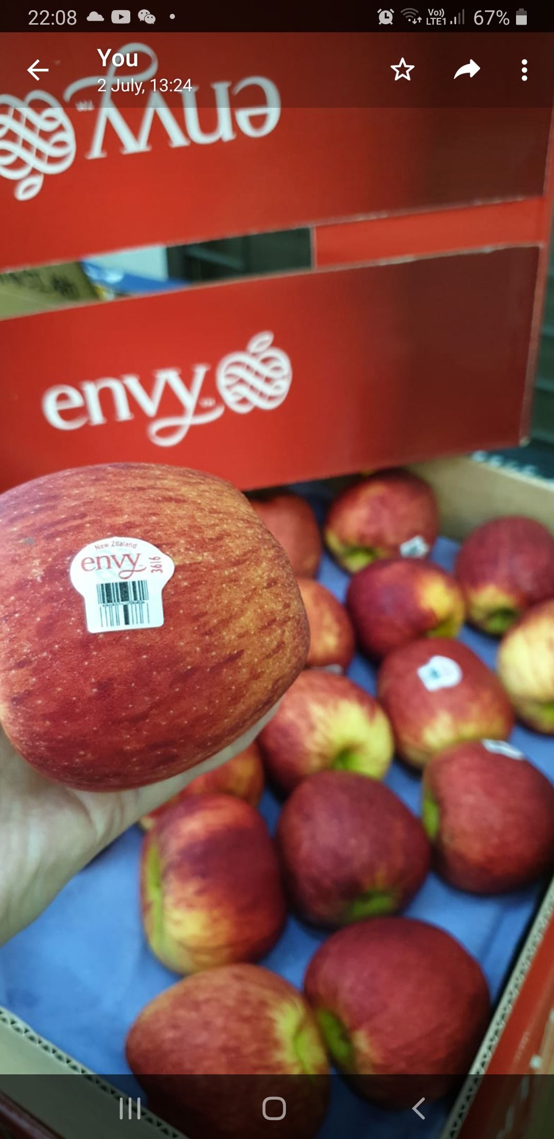 🍎US Envy Apples (3pcs/set)