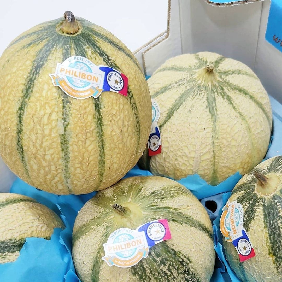 Premium Philibon Melon (1pcs)