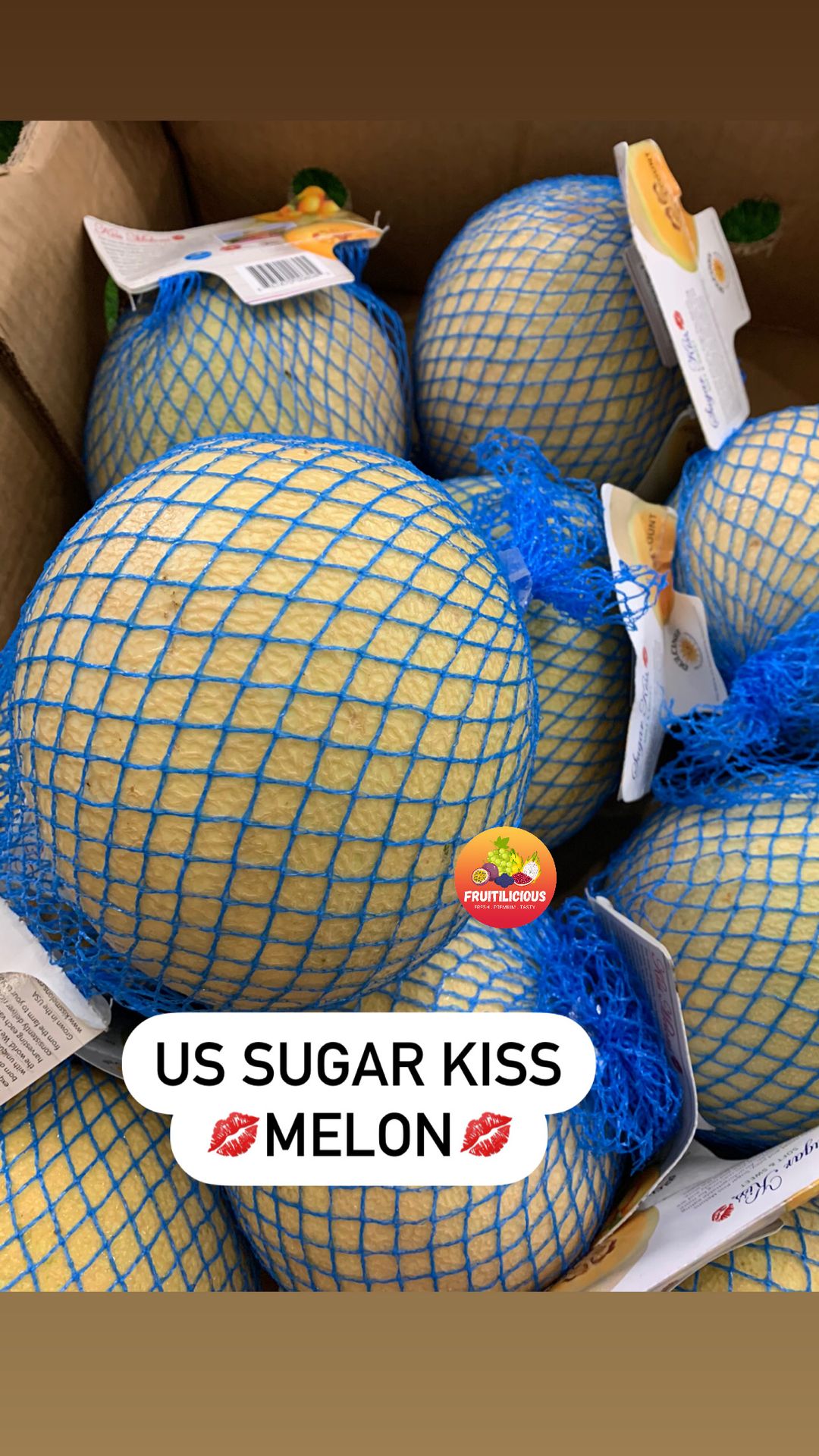 US SUGAR KISS MELON (M)