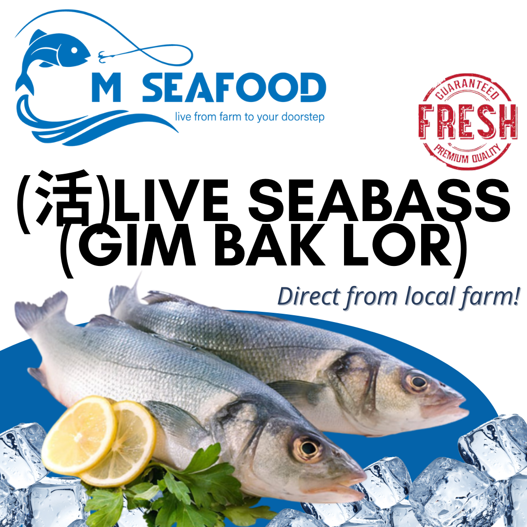 Live Seabass (活金目鲈)