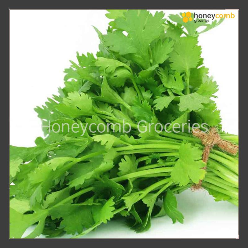 Fresh Thai Coriander (50g)