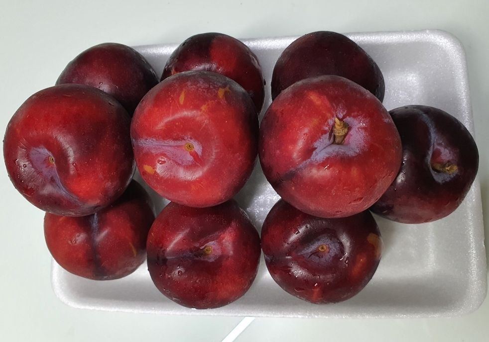 🌺Aust Plums 