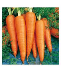 Carrot (गाजर)(Orange)