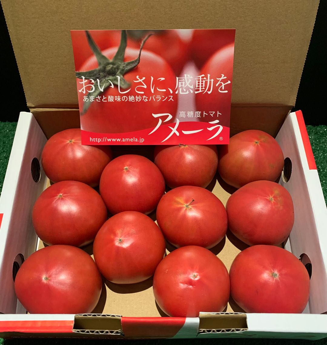 JPN SHIZUOKA AMELA FRESH TOMATOES