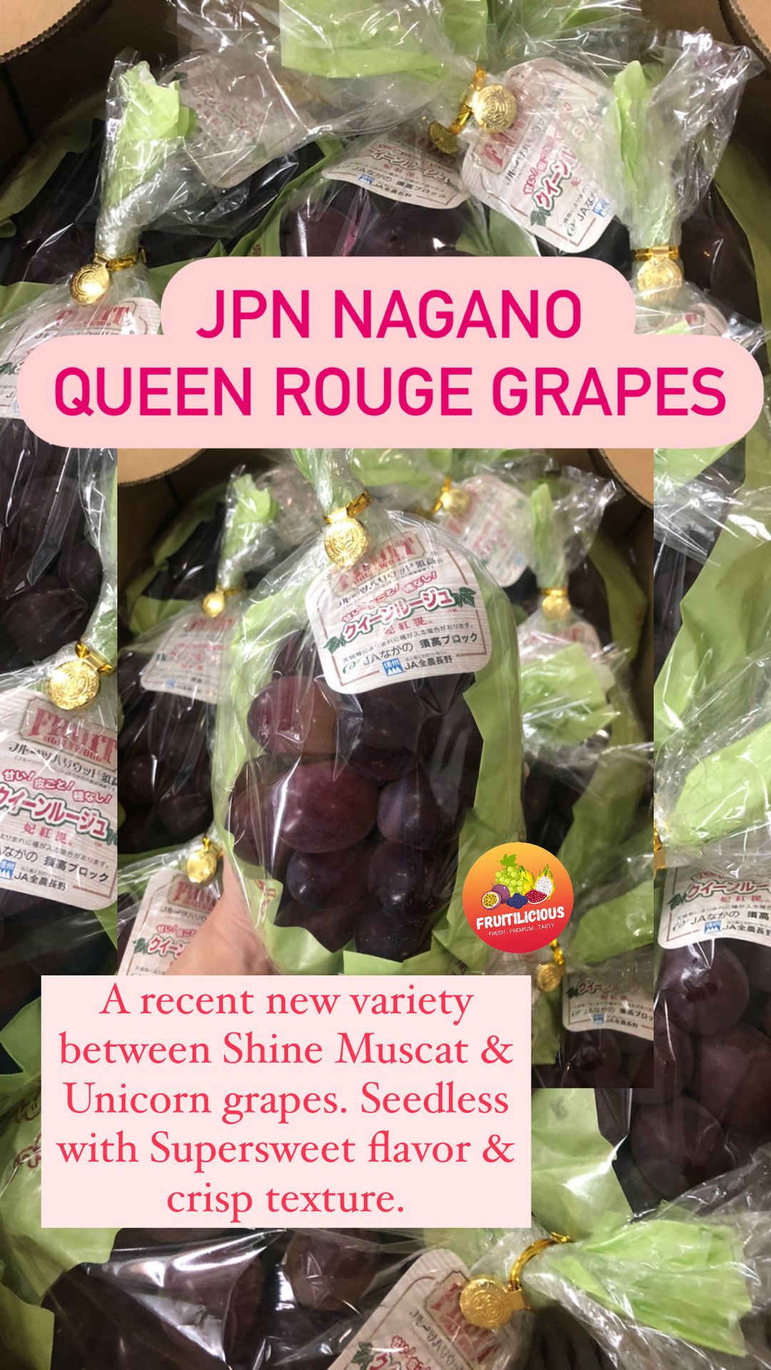 JPN NAGANO QUEEN ROUGE SL GRAPES