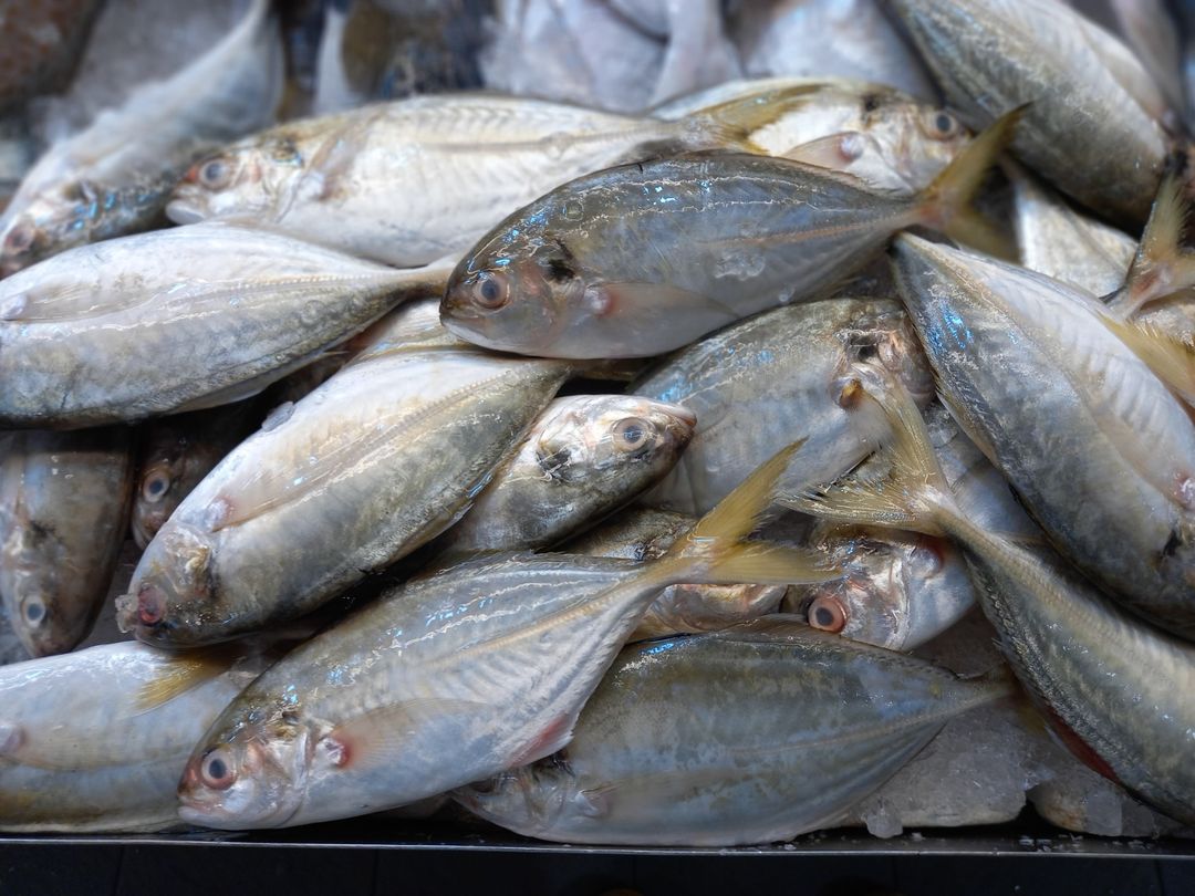 Boon Tong 文东 ( 1Kg )