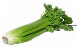 Celery 芹菜