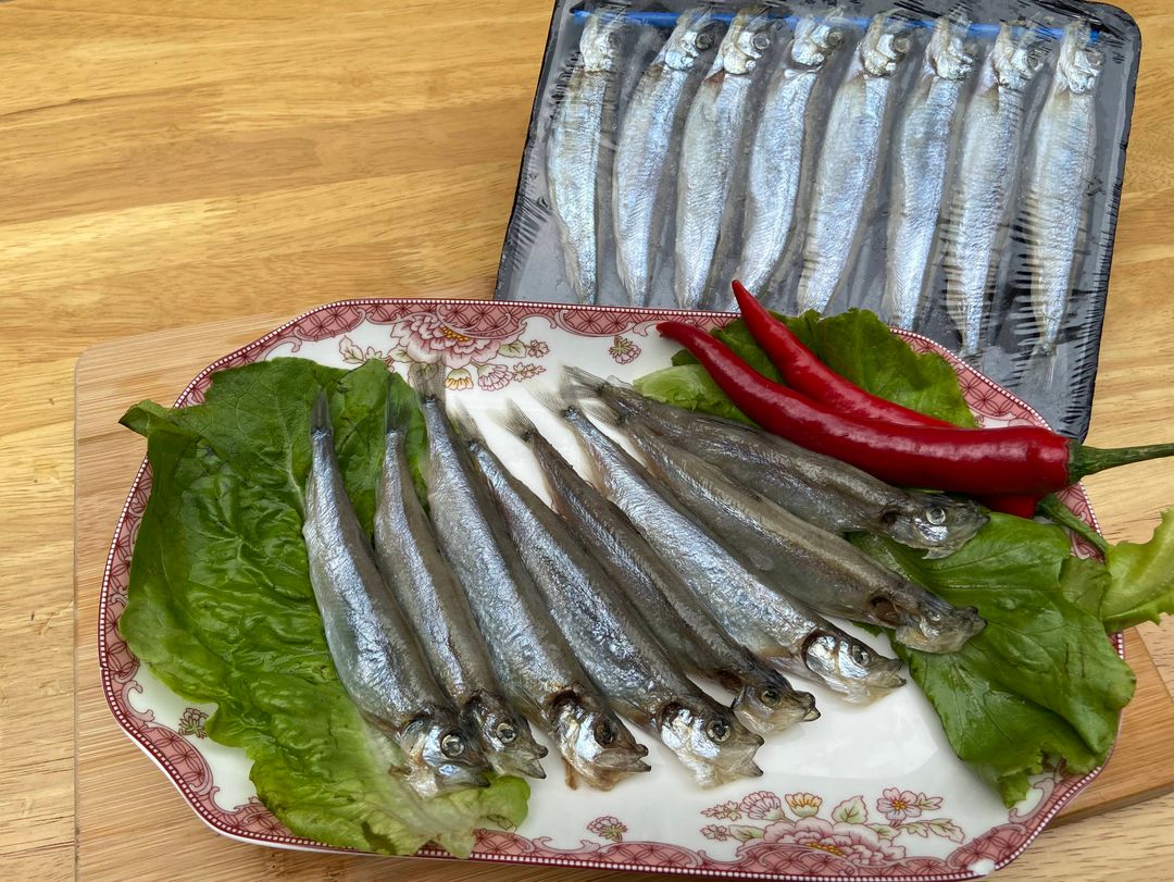 Shishamo 多春鱼