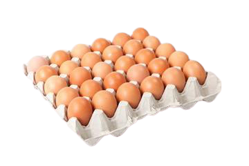 Eggs large/extra Large Tray