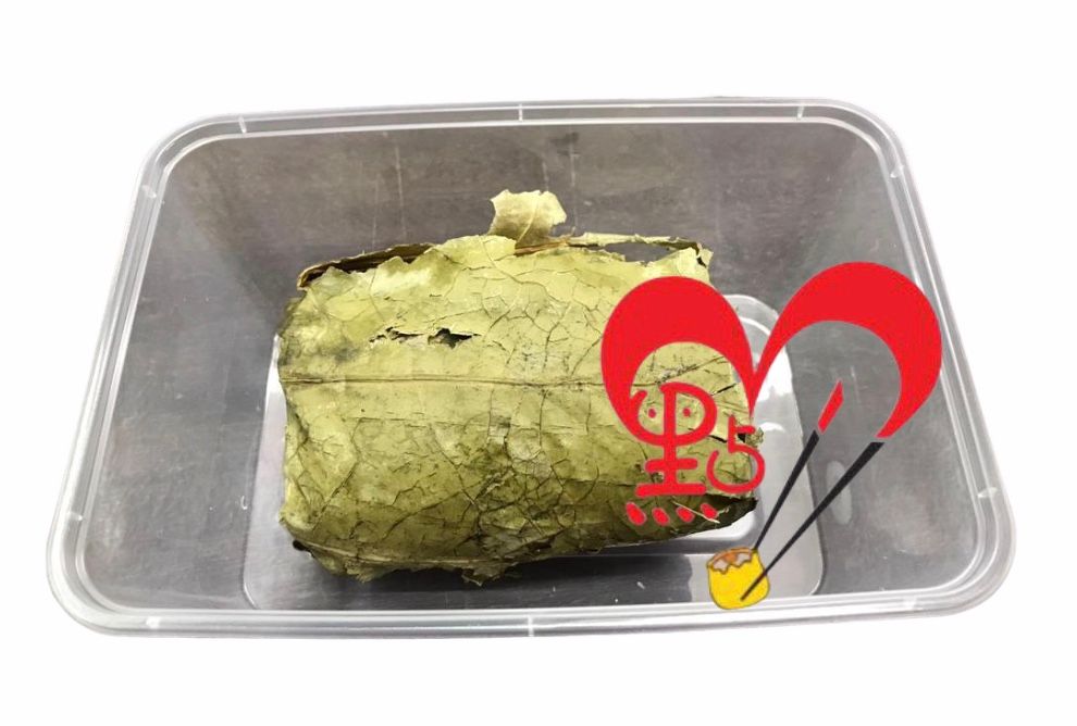 Lotus Leaf Glutinous Rice Chicken 鲜香荷叶饭