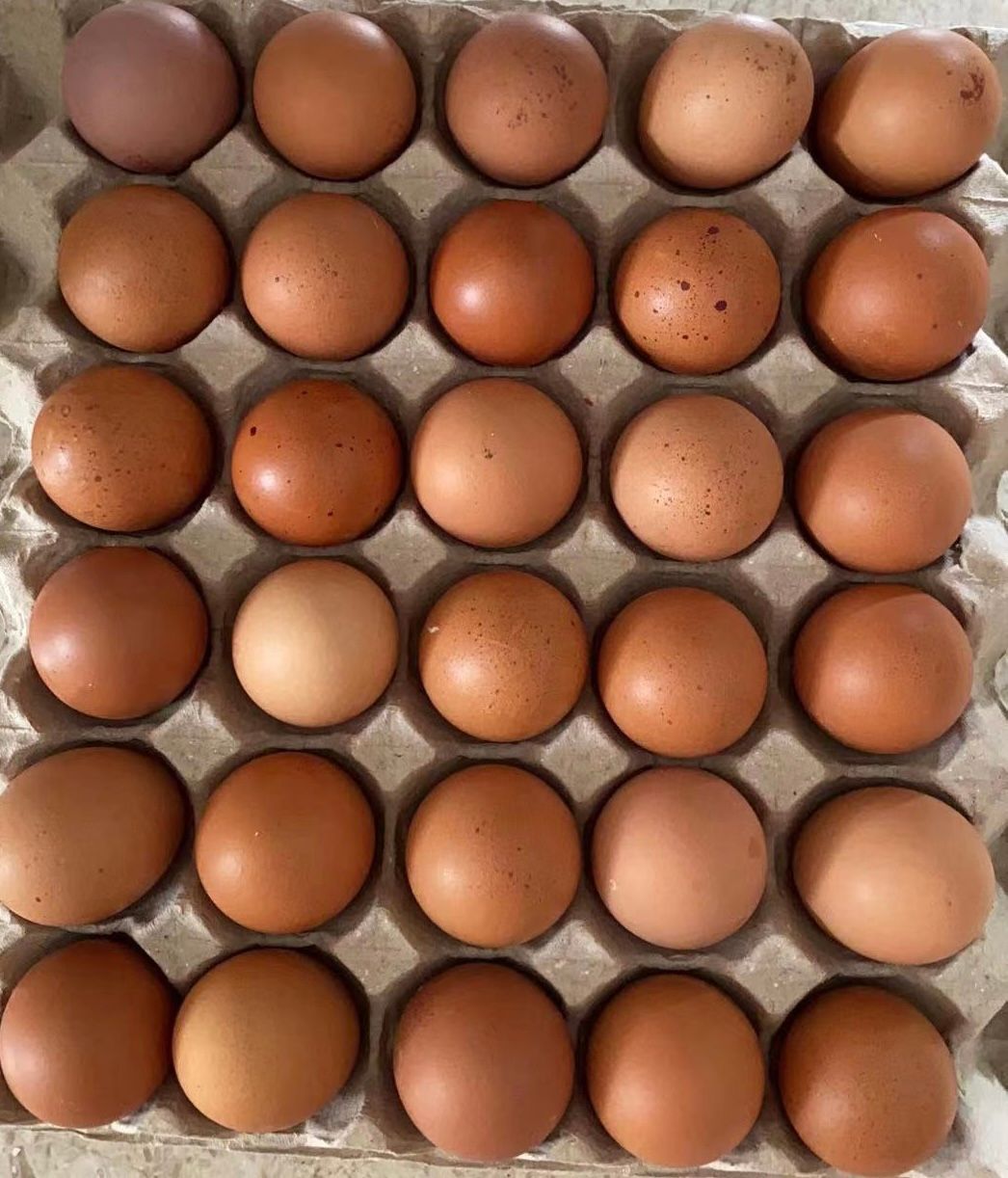 🥚鸡蛋-$5.5/1盘/30粒
