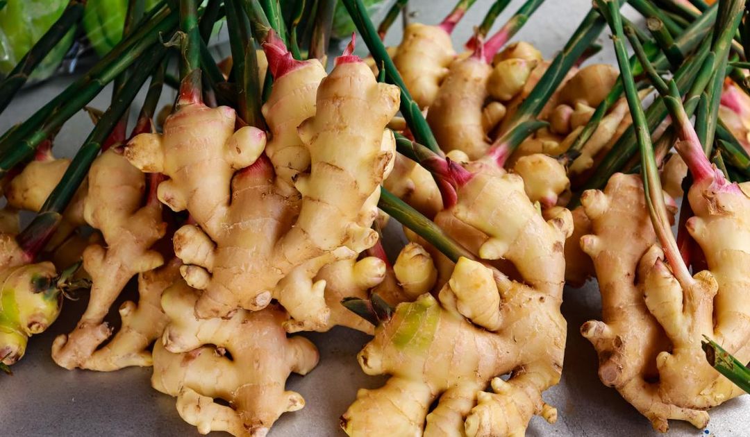 Ginger 