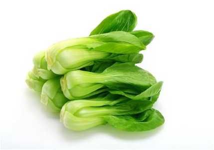 *Sio Pak Choy (Xiao Bai Cai)* 小白菜
