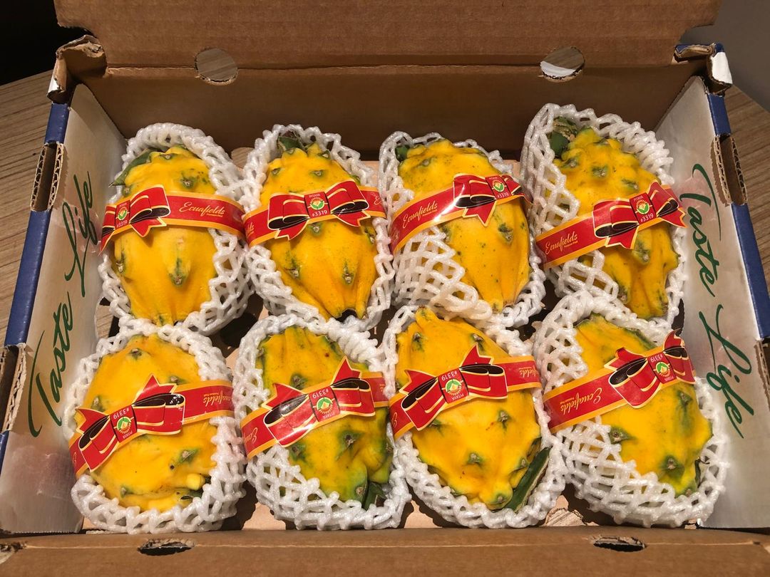 ECUADOR YELLOW DRAGONFRUIT