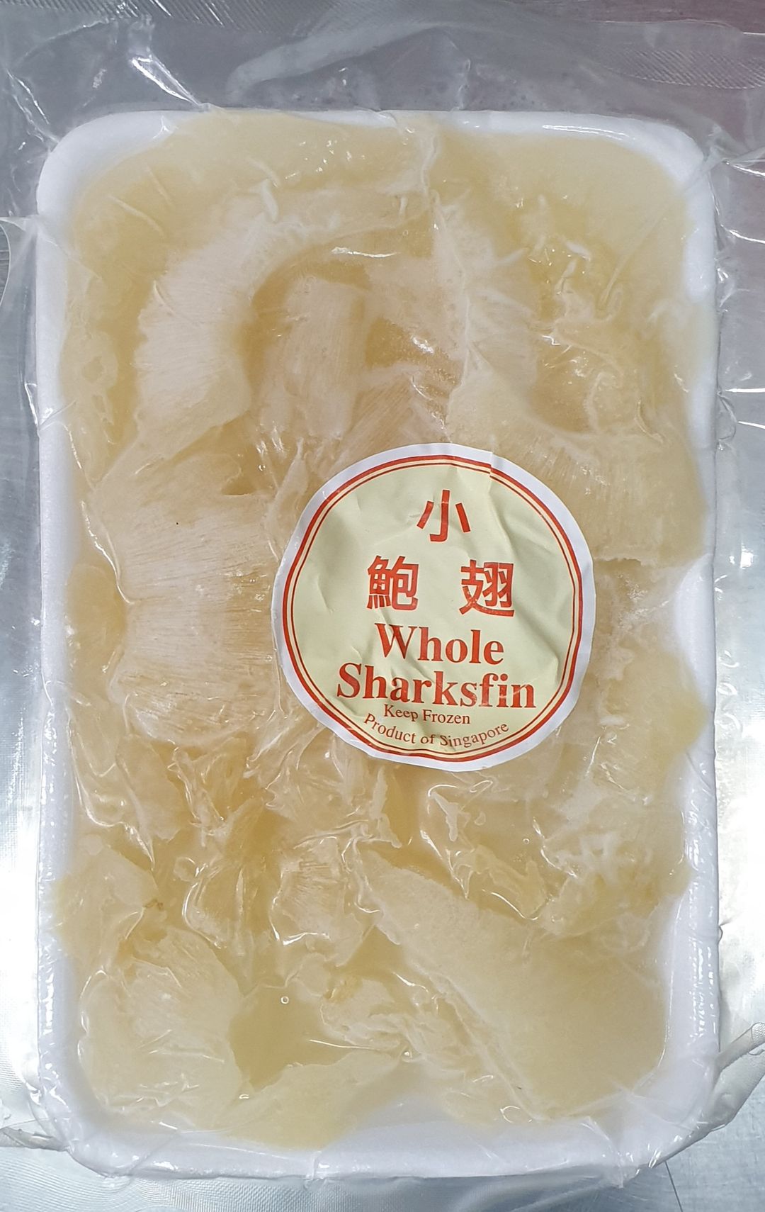 Shark Fin