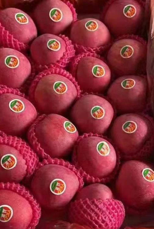 🍎烟台富士苹果 Apples -$7/8粒