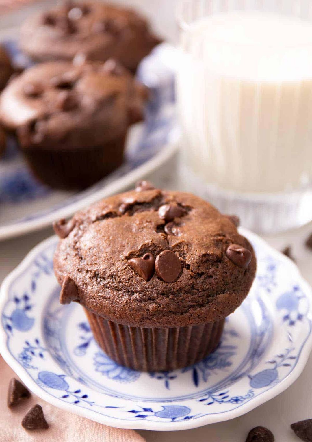 Double Chocolate Muffin 6Pcs