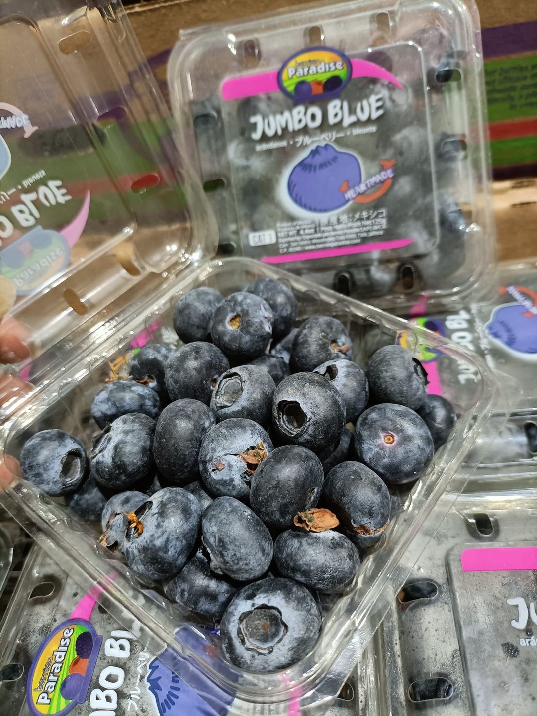 MEXICO Jumbo Blueberries 125g