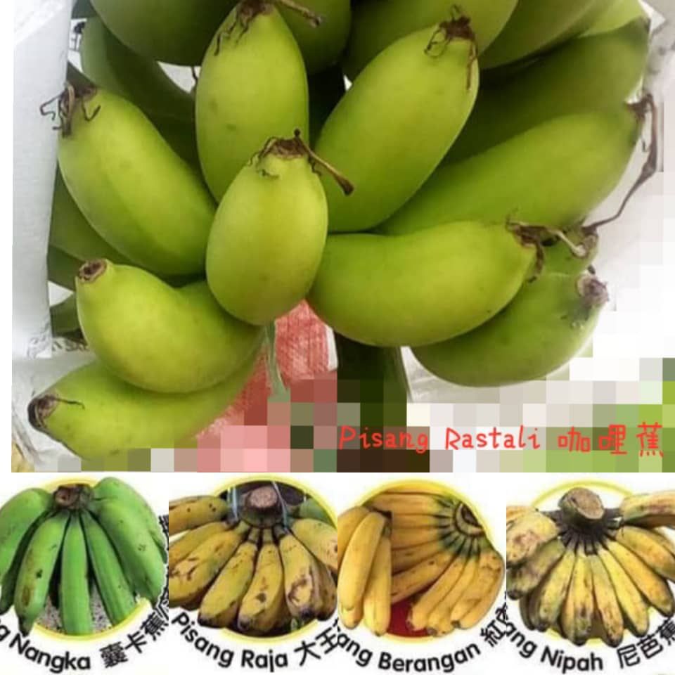 ORGANIC BANANA / PISANG 有机香蕉