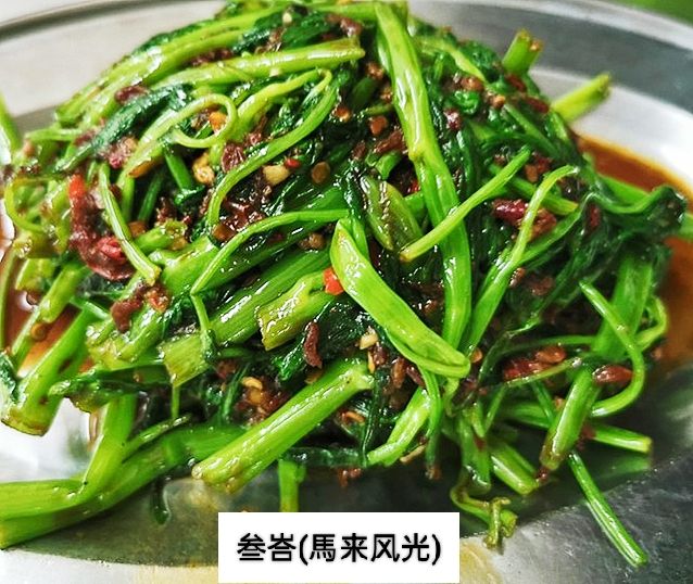 V 9 - 空心菜 | 蕹菜 (KangKung)