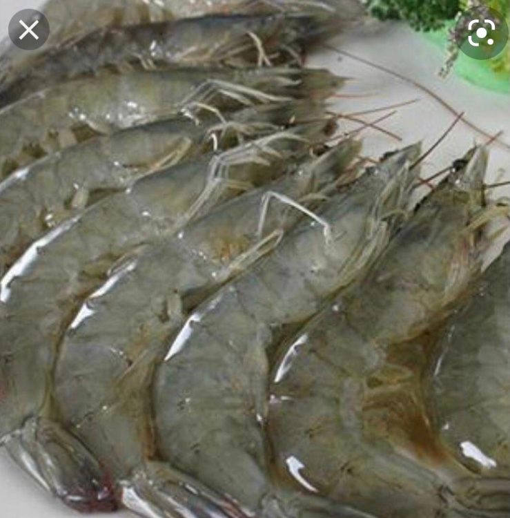 Prawns (7-8pc)