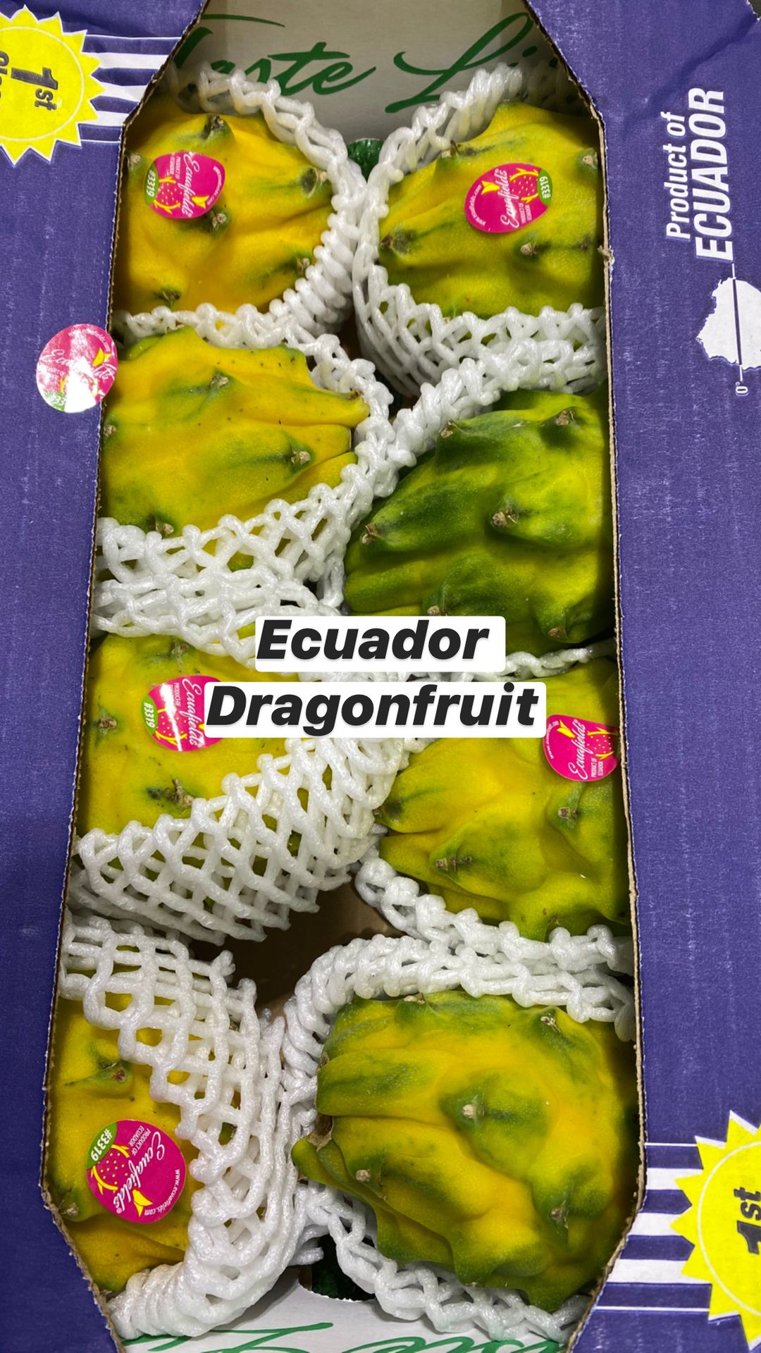 Ecuador Dragon Fruit