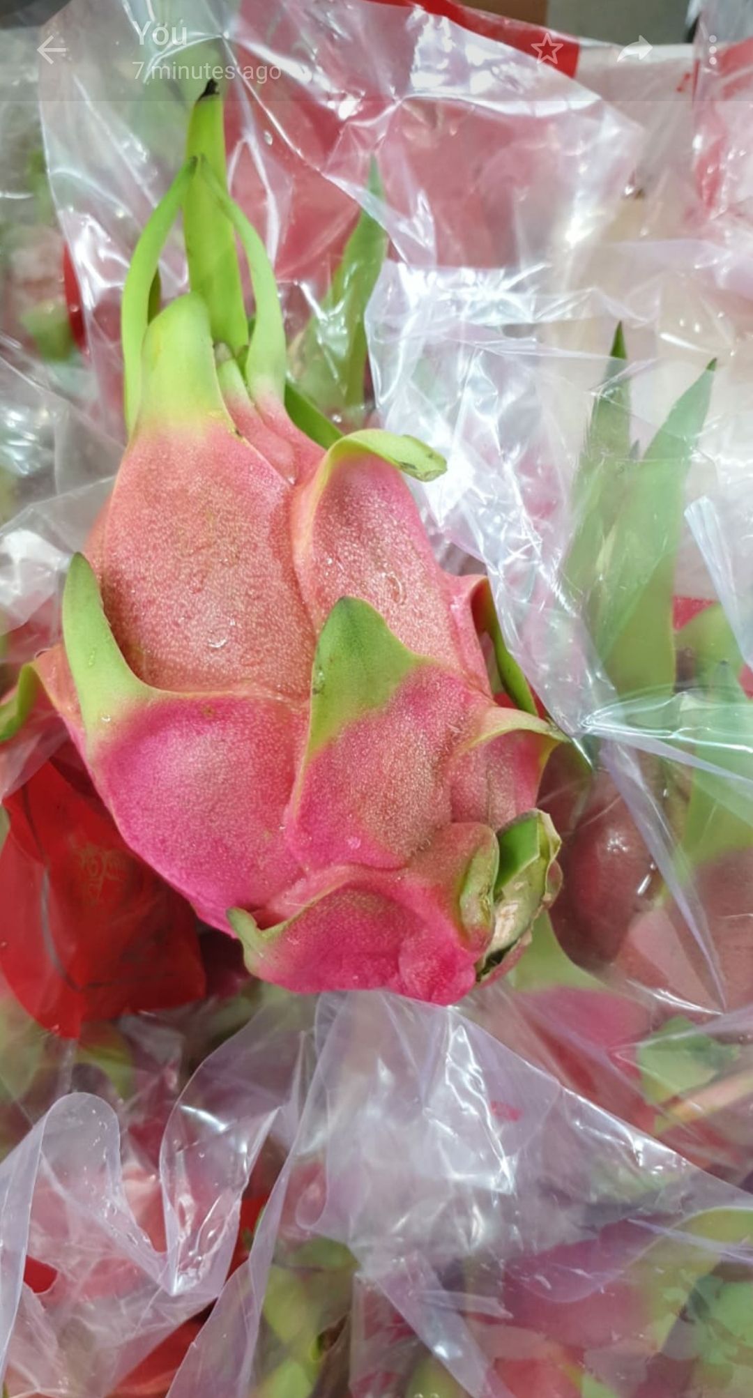 ⚪White Flesh Dragonfruit (2pcs/set)